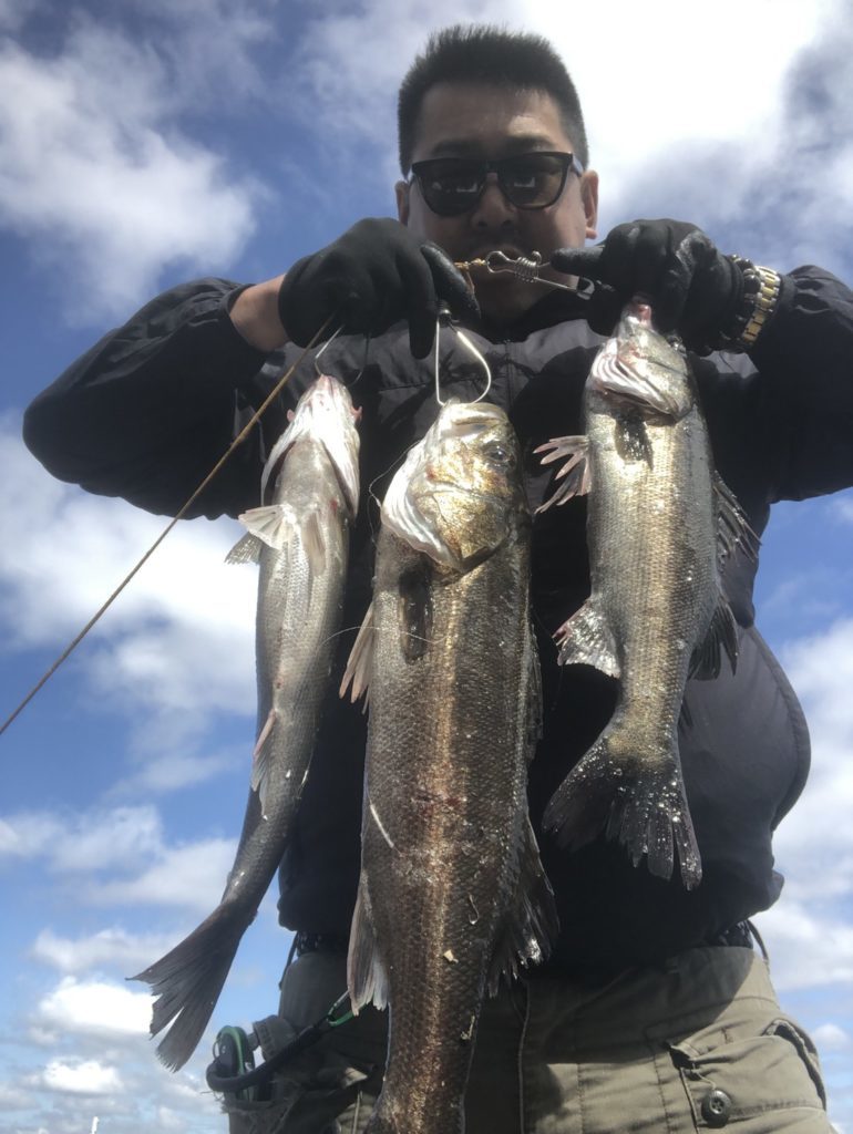 19年6月の釣果 片浜 若洲